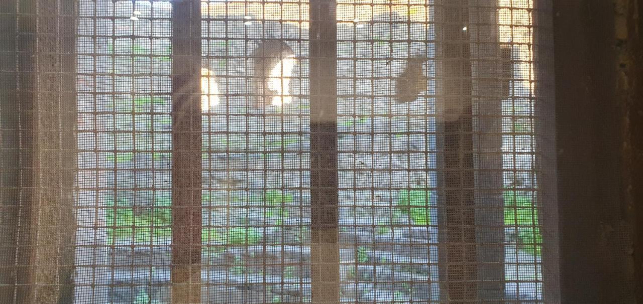 Domus Odeon La Casa Nel Parco Archeologico Di Catania Apartman Kültér fotó